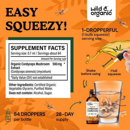Wild & Organic Cordyceps Mushroom Tincture - Energy & Immune Support - Cordyceps Sinensis Extract Supplement - Liquid Mushroom Drops - Add to Tea & Mix with Powder - Sugar & Alcohol-Free - 4 fl oz
