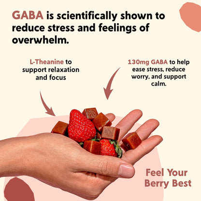 PYM Berry Mood Chews (20 Count) | Stress & Mood Support Supplement