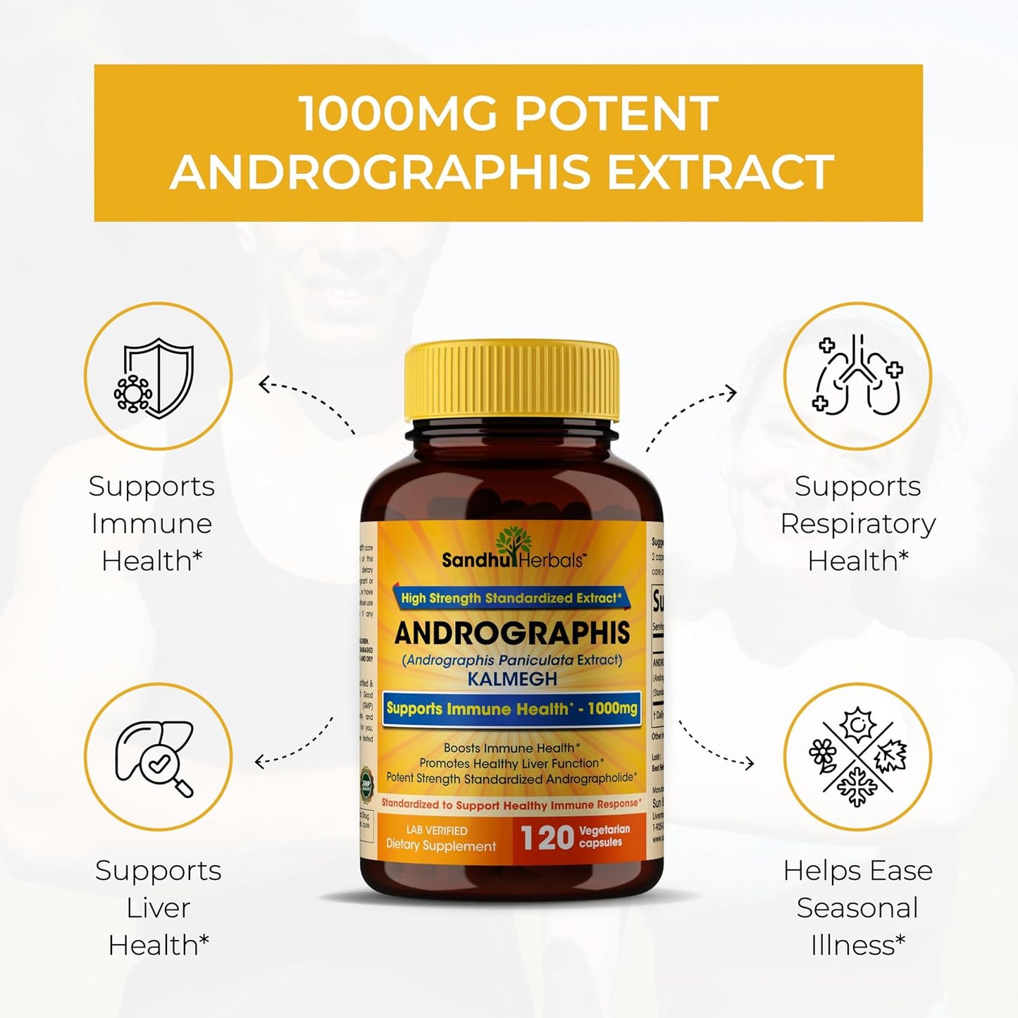 Andrographis Paniculata Kalmegh for Immune and Liver Health Support| 120 Vegetarian Capsules, 2 Months Supply| Ayurvedic Herbal Vegetarian Supplement Complex