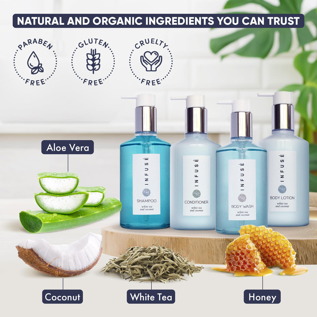 Infuse 1-Shoppe 40 Piece Ecobox All-In-Kit | White Tea and Coconut Soap | 12 Shampoo