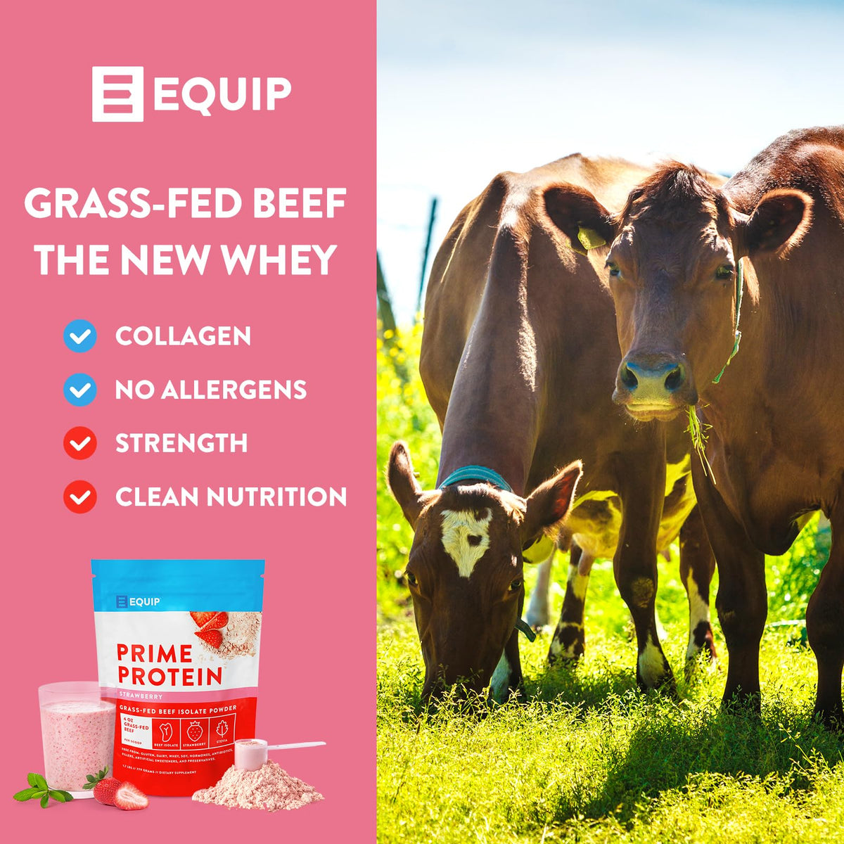 Equip Foods Prime Protein Powder Strawberry & Core Colostrum Powder