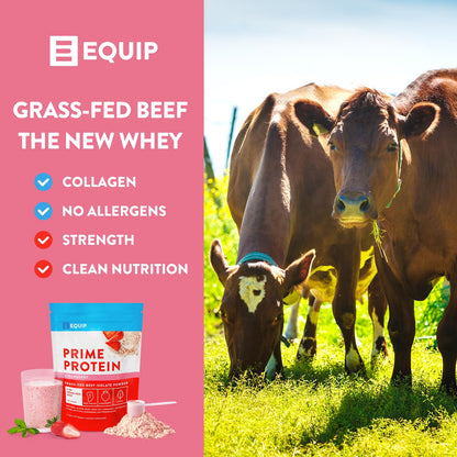 Equip Foods Prime Protein Powder Strawberry & Core Colostrum Powder
