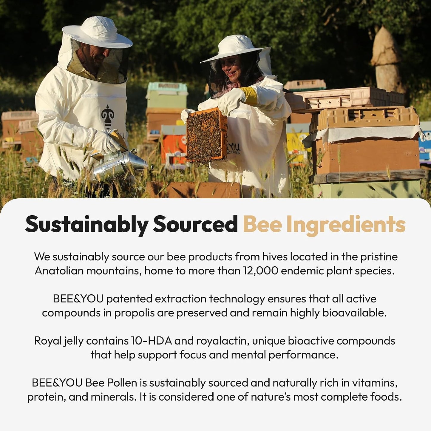 Bee and You Royal Jelly Tablet, Propolis Extract, Bee Pollen, 100% Natural Superfood, Ultra Pure, Immune Support Supplement, Improve Energy, Focus, Antioxidants, Fresh, Keto, Paleo, Gluten-Free | 60ct