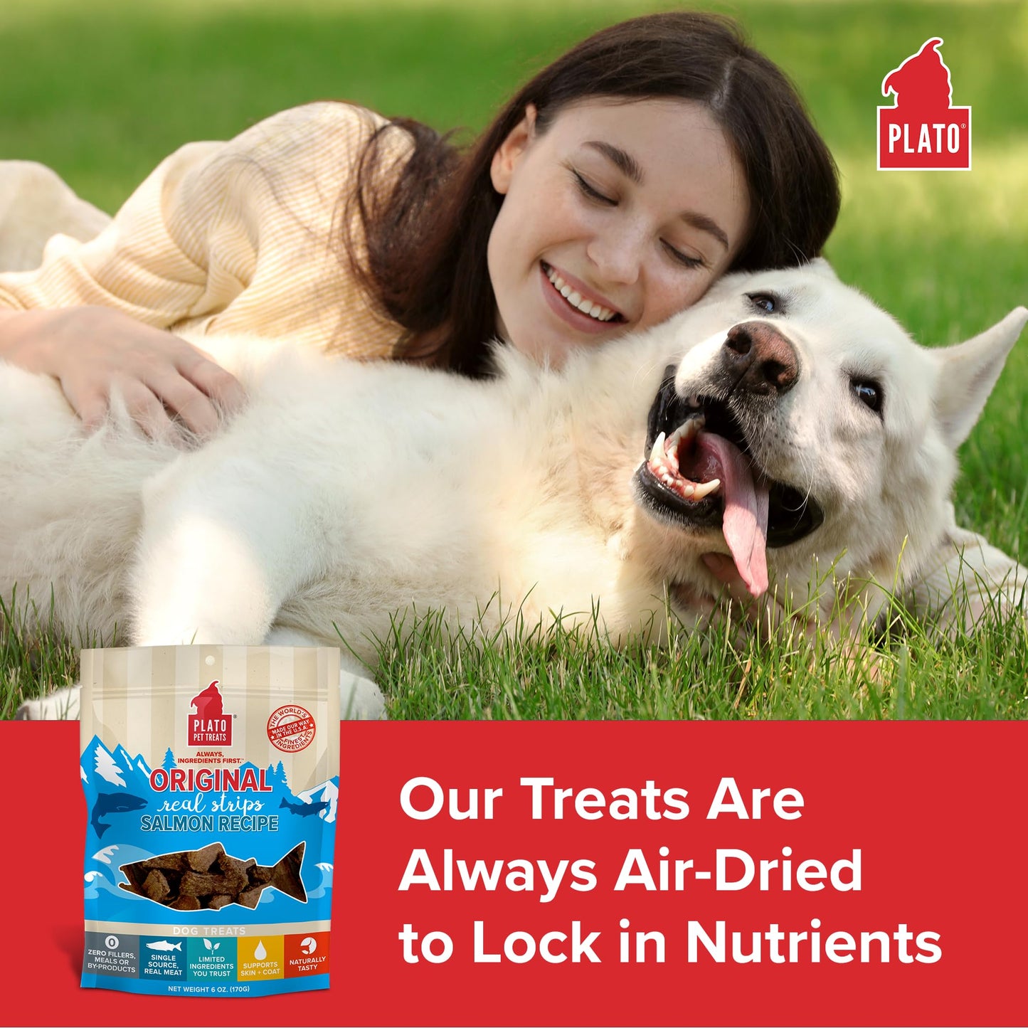Plato Real Strips Salmon Recipe Dog Treats, Air-Dried High-Protein Soft Strips, Omega-Rich Skin & Coat Support, 18 oz