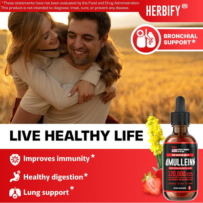 HERBIFY Bundle - Lions Mane & Mullein 4 Fl Oz Strawberry Drops - Supplement for Memory, Focus & Clarity & Immune Support, Lung Cleanse and Bronchial Support
