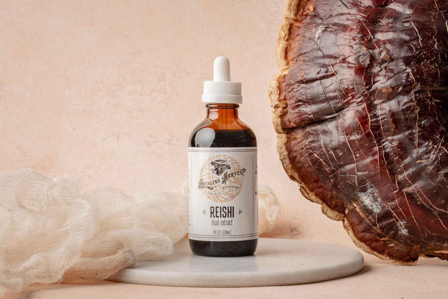 Hodgins Harvest Organic Lion's Mane Fruiting Body Extract Tincture - Mushroom Supplement for Brain Health and Mental Focus - Dual Extract Formula - Extra Concentrated - 4 fl oz Bottle