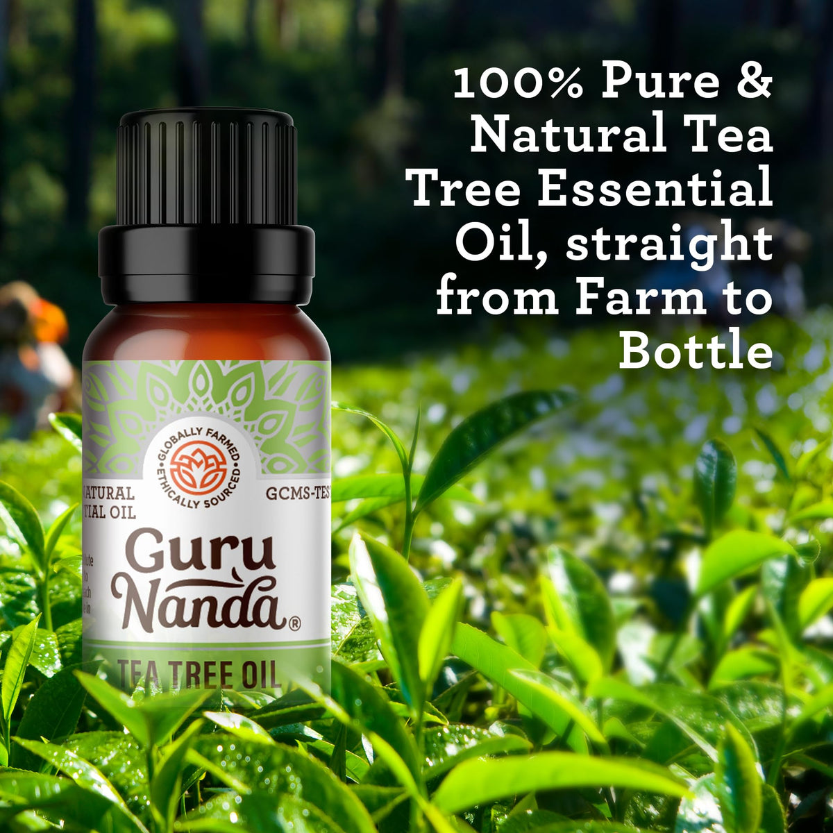GuruNanda Frankincense Essential Oil, Pure & Natural, 2x15 mL
