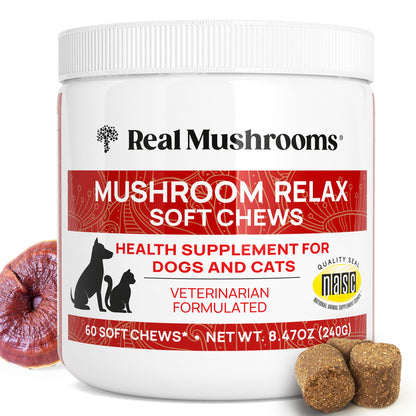 Real Mushroom Immune Pet Chews – For Daily Digestive & Immune Health – Mushrooms for Dogs & Cats Functional Treat – Mushroom Supplement for Dogs & Cats – 1 to 4 Chews For All Breeds & Sizes (60 Count)