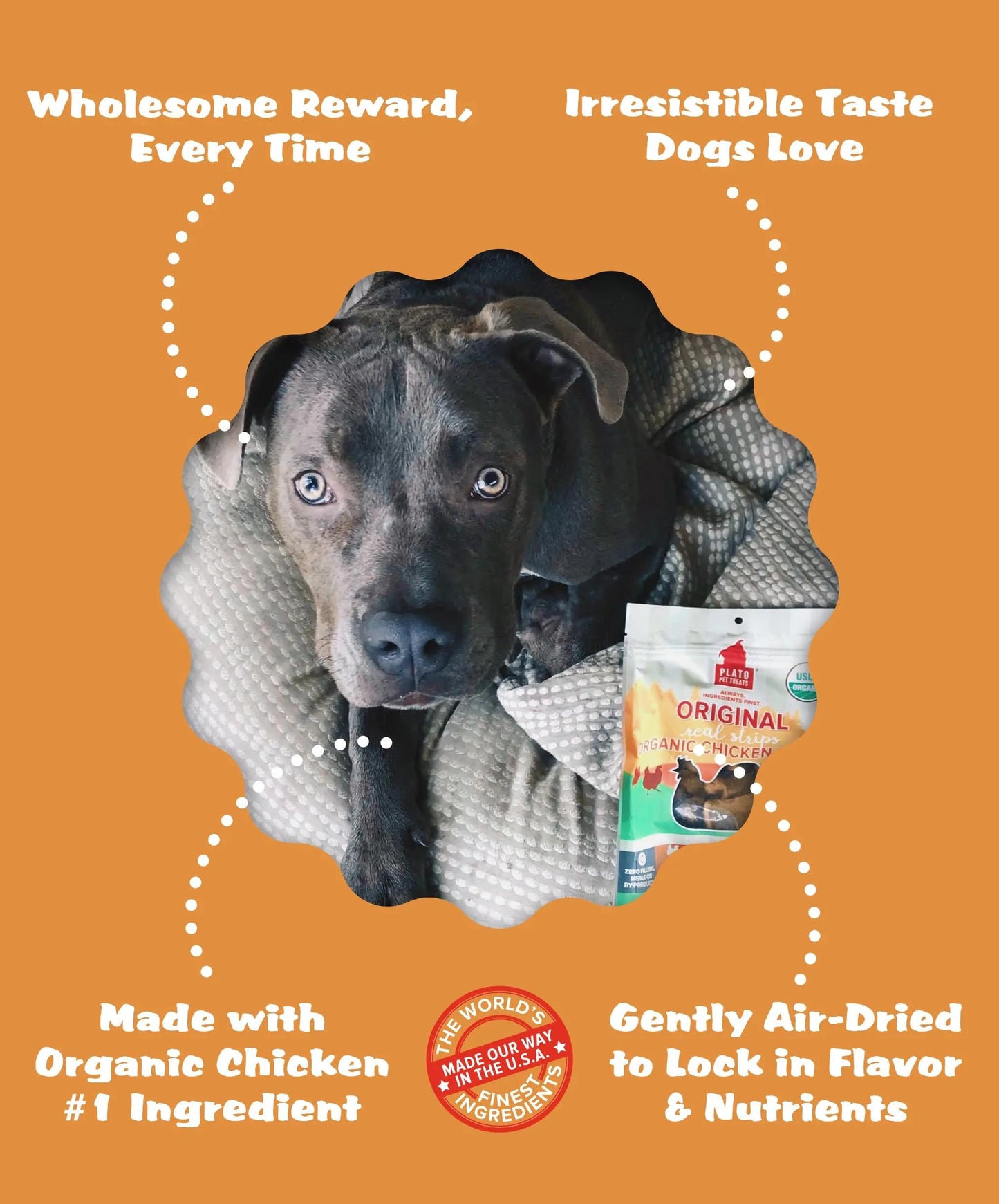 Plato Pet Treats Real Strips - Air-Dried Meat Bars for Dogs - Delicious, Limited Ingredient Dog Treats - Grain Free - Original Real Strips Turkey & Pumpkin 18oz - 2 Pack