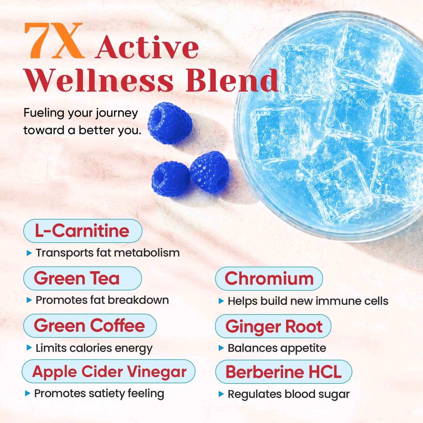 Venture Pal Electrolyte Packets + Burn Support, Sugar Free, 16 Sticks | 7 Electrolytes + L-Carnitine, Berberine, ACV, Chromium, Green Tea, Metabolic Support, Keto Friendly, Vegan, Liquid Daily IV