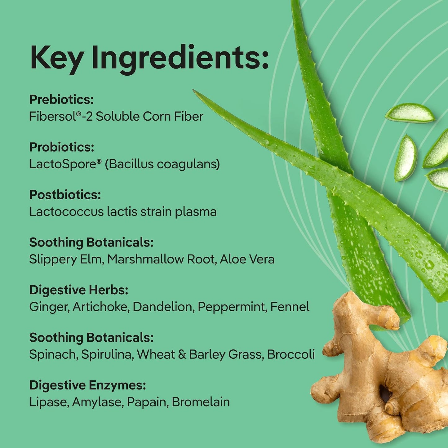 Xtendlife Gut Harmony Greens and Superfood for Digestive Health - Prebiotics, Probiotics, and Postbiotics for Bloating & Gut Support - 30 Servings (Pack of 1)