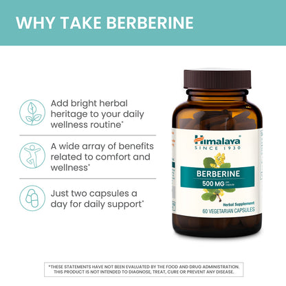 Himalaya Berberine Supplement, Berberine HCL 1000 mg per Serving, Herbal Supplement for Supporting Normal Metabolism, Immune, and Digestive Health - Vegan, Gluten Free, 60 Vegetarian Capsules