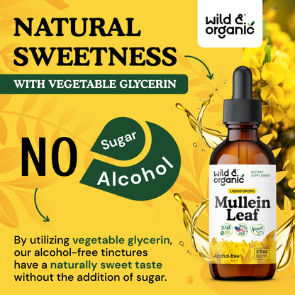 Wild & Organic Mullein Drops for Lungs - Cleanse and Detox - Liquid Mullein Leaf Extract for Lungs with Echinacea - Add to Tea - Verbascum Thapsus Tincture - Sugar & Alcohol-Free Supplement - 4 fl oz