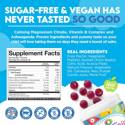 Nutracelle NUTRAMIN Kids Mood Boost Vegan Vitamin Gummy: Magnesium Citrate Supplement for Children with Ashwagandha & Vitamin B Complex to Relax & Focus - Sugar-Free, Wild Berry - 60ct (60 Count)