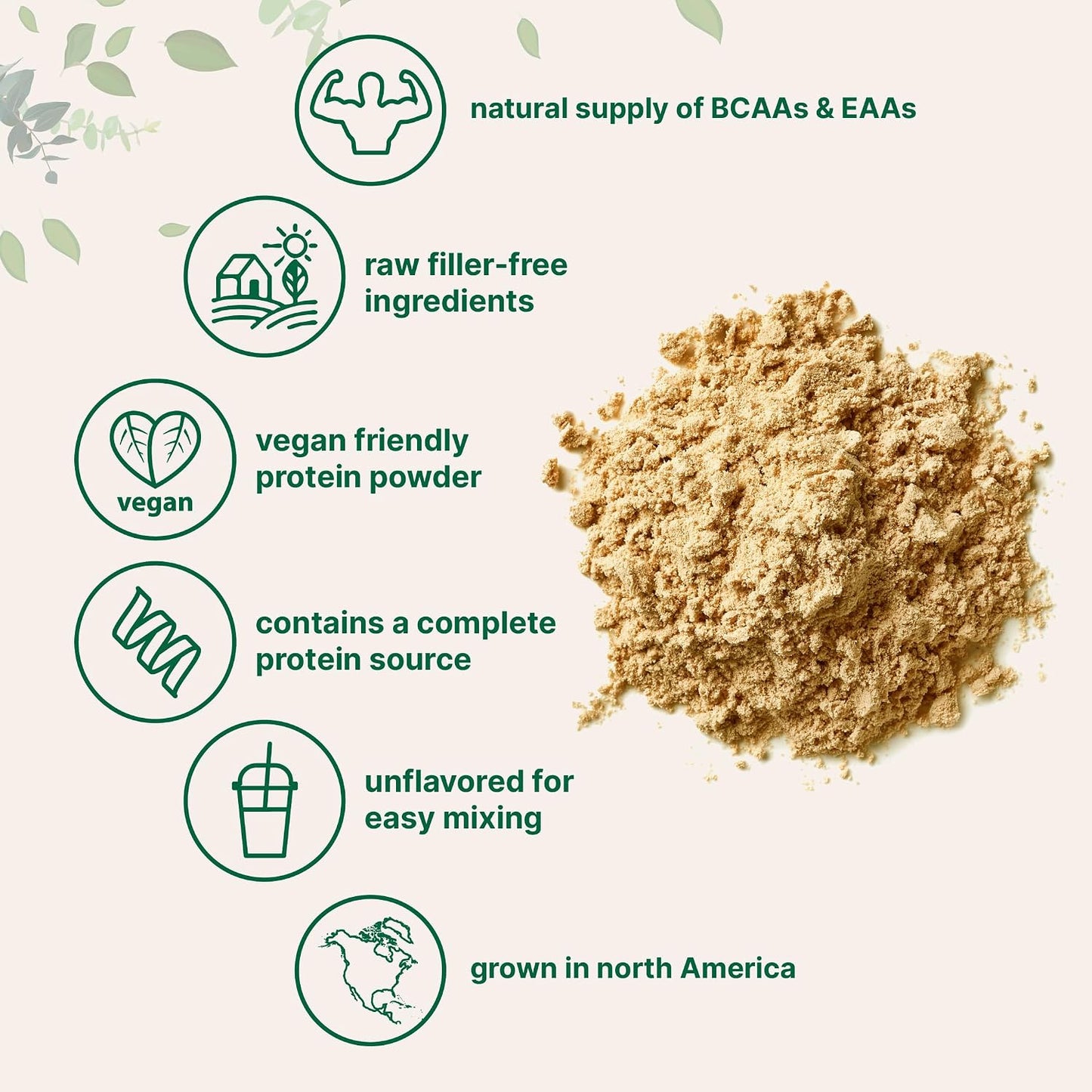 Micro Ingredients North American Grown, Pea Protein Powder, 5 Pounds | Plant Based, Unflavored | Complete Vegan Protein Source with BCAAs & EAAs – 27g Serving | Non-GMO, Keto Friendly
