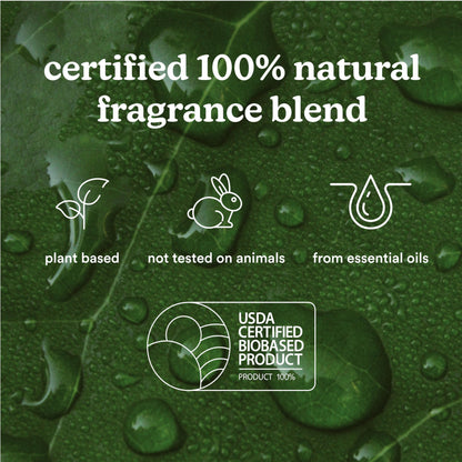 Homedics SereneScent Moroccan Magic Fragrance Oil Bottle, 120 ml, Clean & Natural, Fruity & Woody