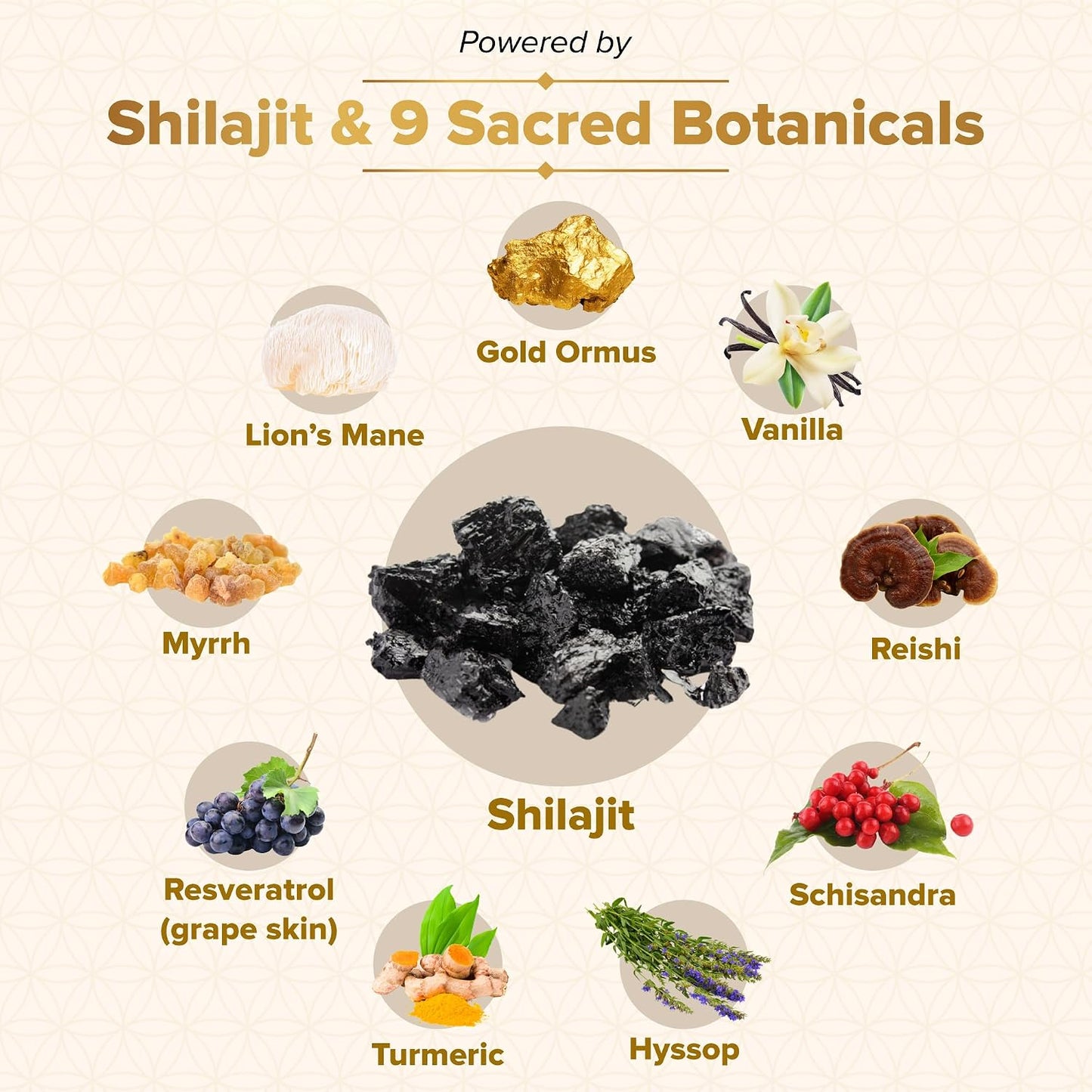 Genesis Revival - Shilajit, Lion's Mane & 8 Sacred Botanicals | Nourish the Pineal Gland for Energy, Mental Clarity, Graceful Aging & a Return to Your Eden State, 60 Count