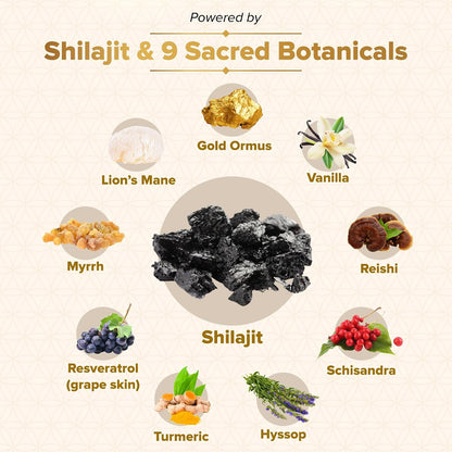 Genesis Revival - Shilajit, Lion's Mane & 8 Sacred Botanicals | Nourish the Pineal Gland for Energy, Mental Clarity, Graceful Aging & a Return to Your Eden State, 60 Count