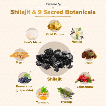 Genesis Revival - Shilajit, Lion's Mane & 8 Sacred Botanicals | Nourish the Pineal Gland for Energy, Mental Clarity, Graceful Aging & a Return to Your Eden State, 60 Count