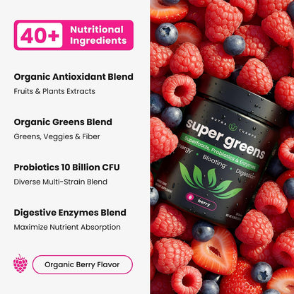 SuperGreens Powder, 40+ Organic Superfoods, Probiotics & Enzymes for Energy, Digestion, Gut Health & Bloating | Organic Fruit & Veggie Drink Mix, Daily Green Juice Smoothie Blend, Spinach, Noni Plus