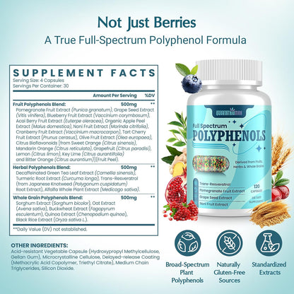 (120 Count) Polyphenols Supplement 1500mg – Over 20 Fruit, Herbal & Cereal Full Spectrum Polyphenol Complex with Resveratrol, Grape Seed & Green Tea – Tri-Color MicroBeadlets – Powerful Antioxidant