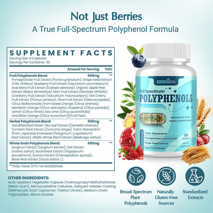 (120 Count) Polyphenols Supplement 1500mg – Over 20 Fruit, Herbal & Cereal Full Spectrum Polyphenol Complex with Resveratrol, Grape Seed & Green Tea – Tri-Color MicroBeadlets – Powerful Antioxidant