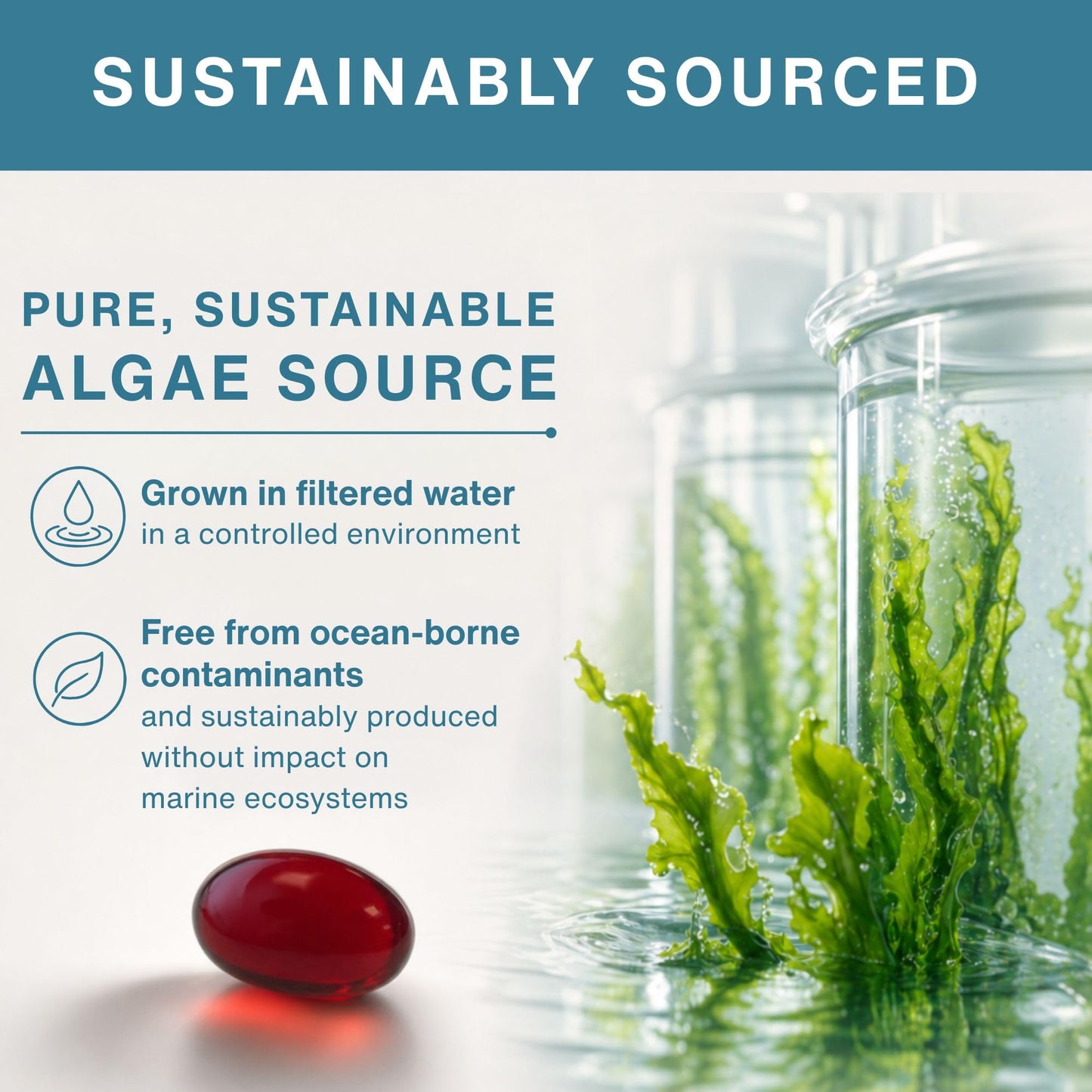 Igennus Vegan Omega-3 Algae Oil, IAOS Certified Pure, 400mg DHA & 200mg EPA per Serving, Triglyceride Form, Supports Brain & Heart Health, with Astaxanthin, 60 Small Softgels (30 Servings)