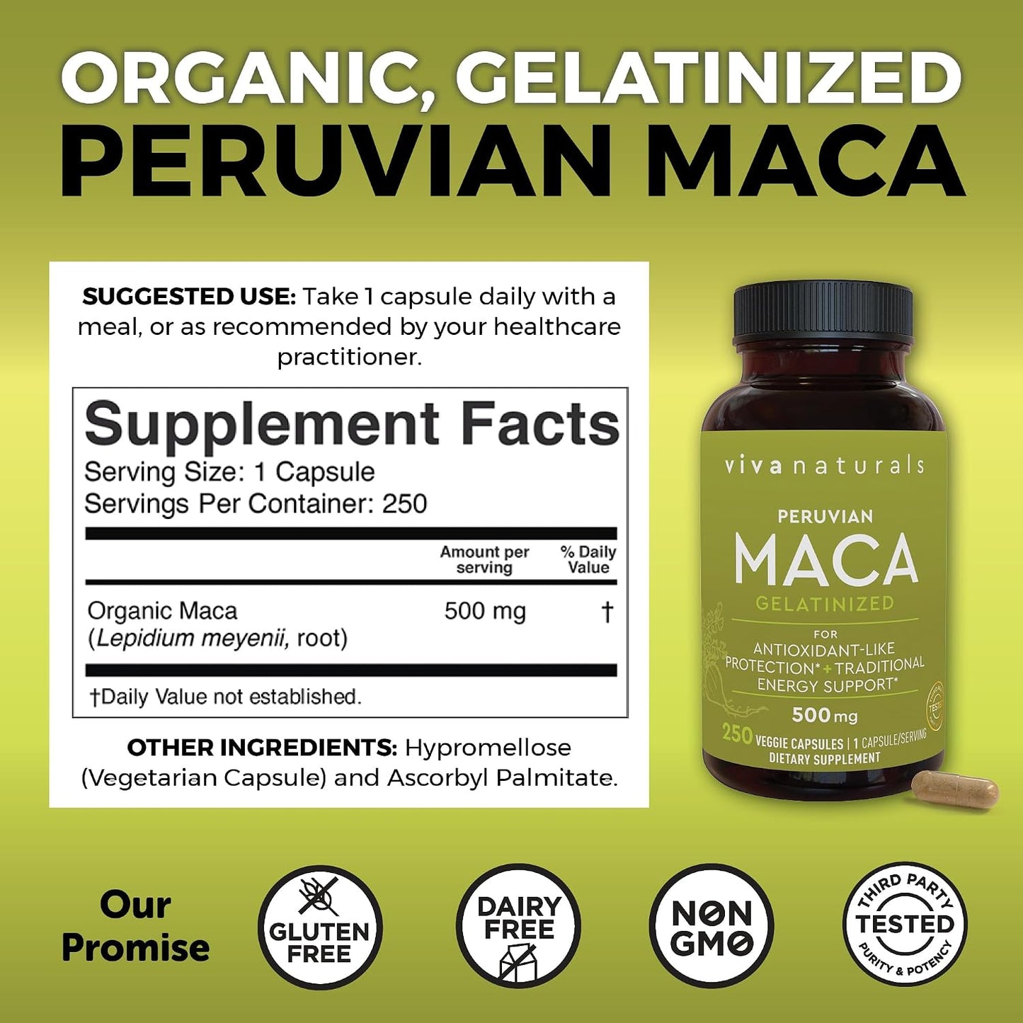 Viva Naturals Peruvian Maca Root Supplement for Women & Men, 500mg - Traditionally Used for Energy, Stamina & Endurance - 250 Yellow Maca Root Powder Capsules, Gelatinized for Easier Digestion
