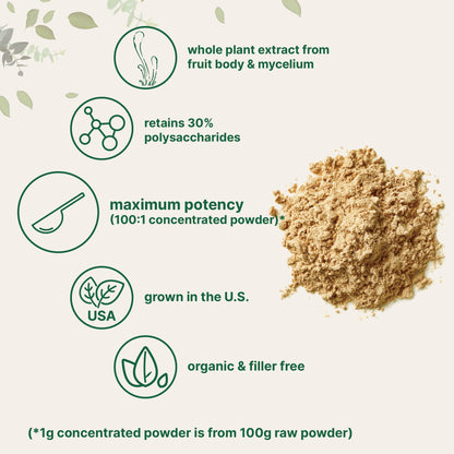 Organic Cordyceps Mushroom Extract Powder, 8 Ounces | Sustainably US Grown