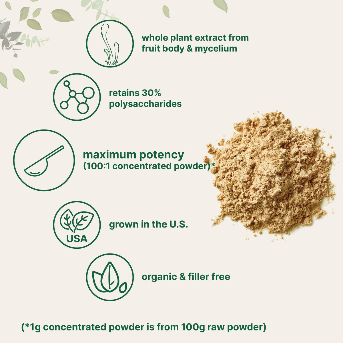 Organic Cordyceps Mushroom Extract Powder, 8 Ounces | Sustainably US Grown