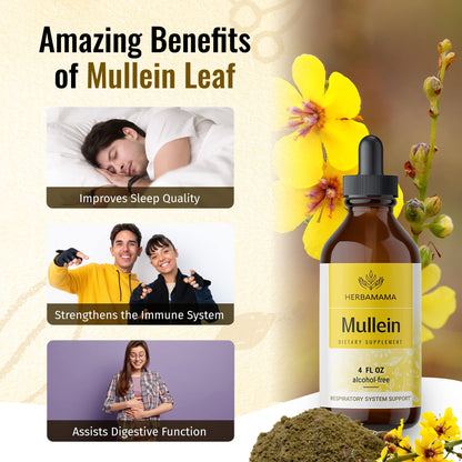 Mullein Leaf Tincture - Lung Cleanse - Vegan Mullein Drops - Lung Detox