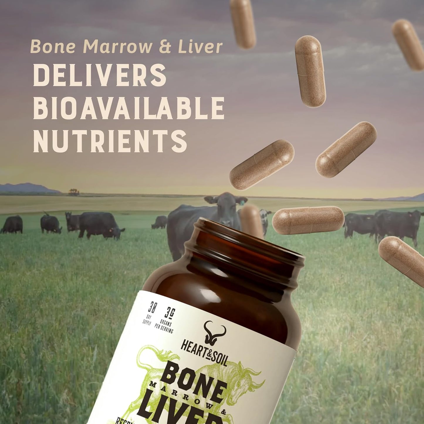 HEART & SOIL Bone Marrow & Beef Liver, 180 Capsules | 100% grass fed & finished from regenerative cattle. Supports bones, joints, tissue & skin. 3000mg for women & men.