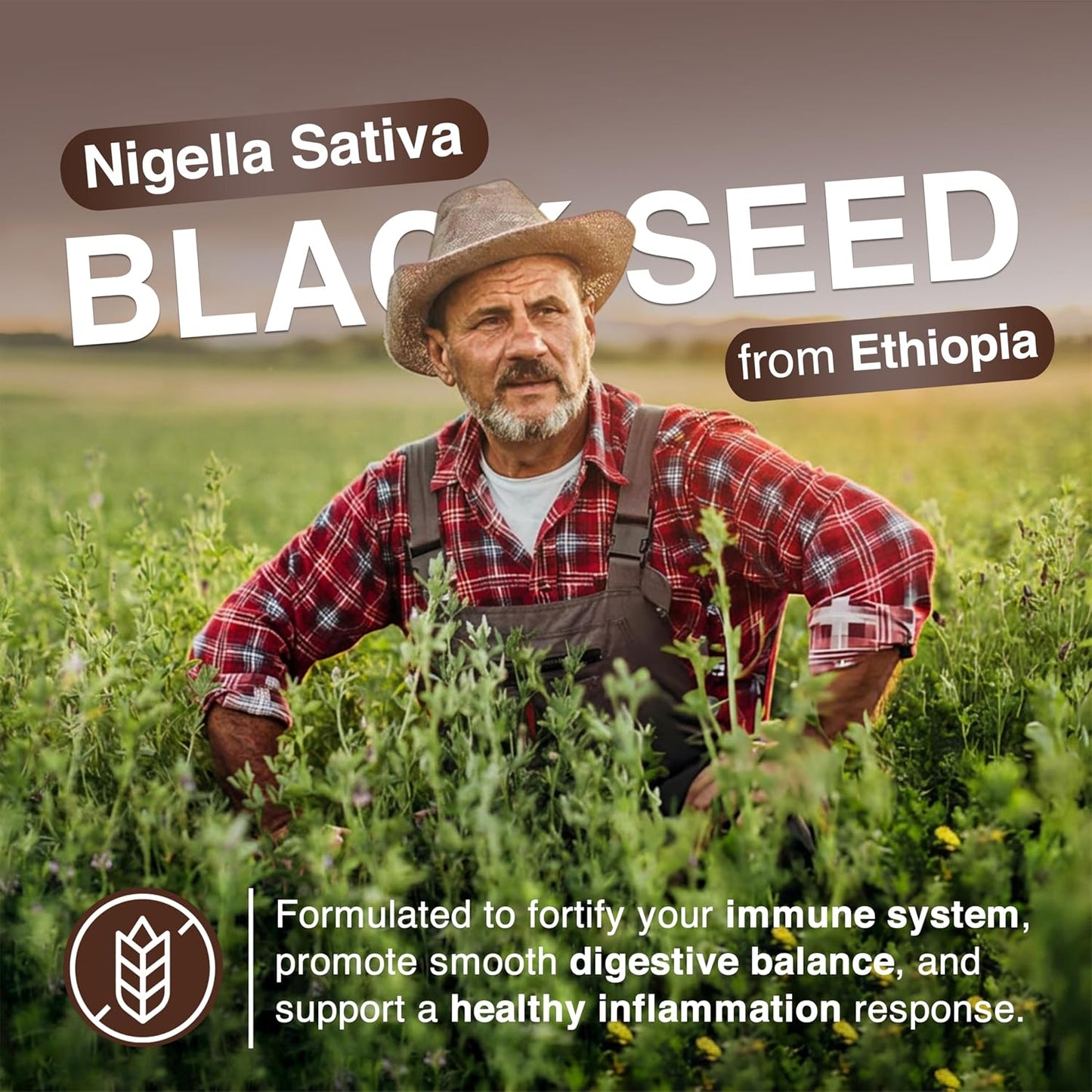 Resilia Ethiopian Black Seed Softgels 1000mg Per Serving – Premium Nigella Sativa Seed Oil Supplement – Digestive & Immune Support Formula – Easy to Swallow Soft Capsules 120 Count (Pack 2)
