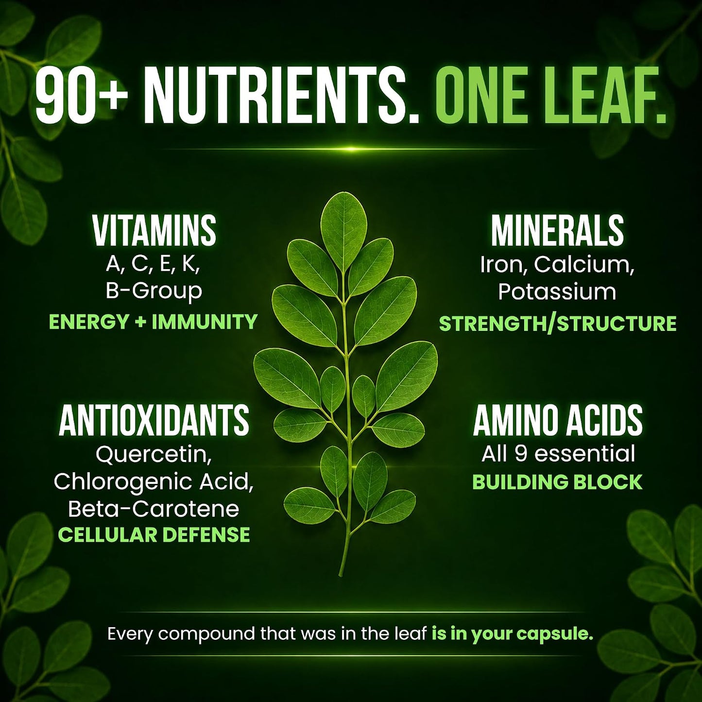 OmniBiotics Organic Moringa Capsules 1000mg Per Serving (120 Vegan Capsules) - Powerful 20:1 Moringa Oleifera Extract for Antioxidant, Immune & Cellular Support, Certified Kosher, Made in USA(60 Days)