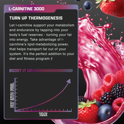 Nutrex Research L Carnitine 3000 - Clinically Dosed L-Carnitine Liquid for Energy, Metabolism & Muscle Recovery - Delicious Strawberry Watermelon - No Sugar, No Carbs, No Stimulants - 31 Servings