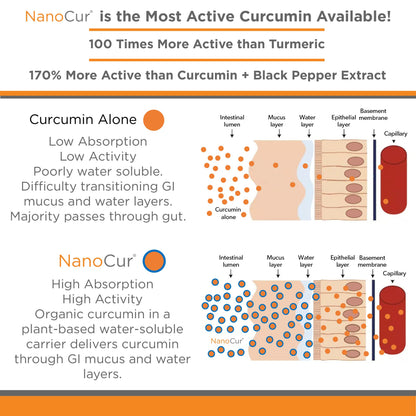 Nanocur Turmeric Curcumin - 100x More Active Than Turmeric, 170% More Active Than