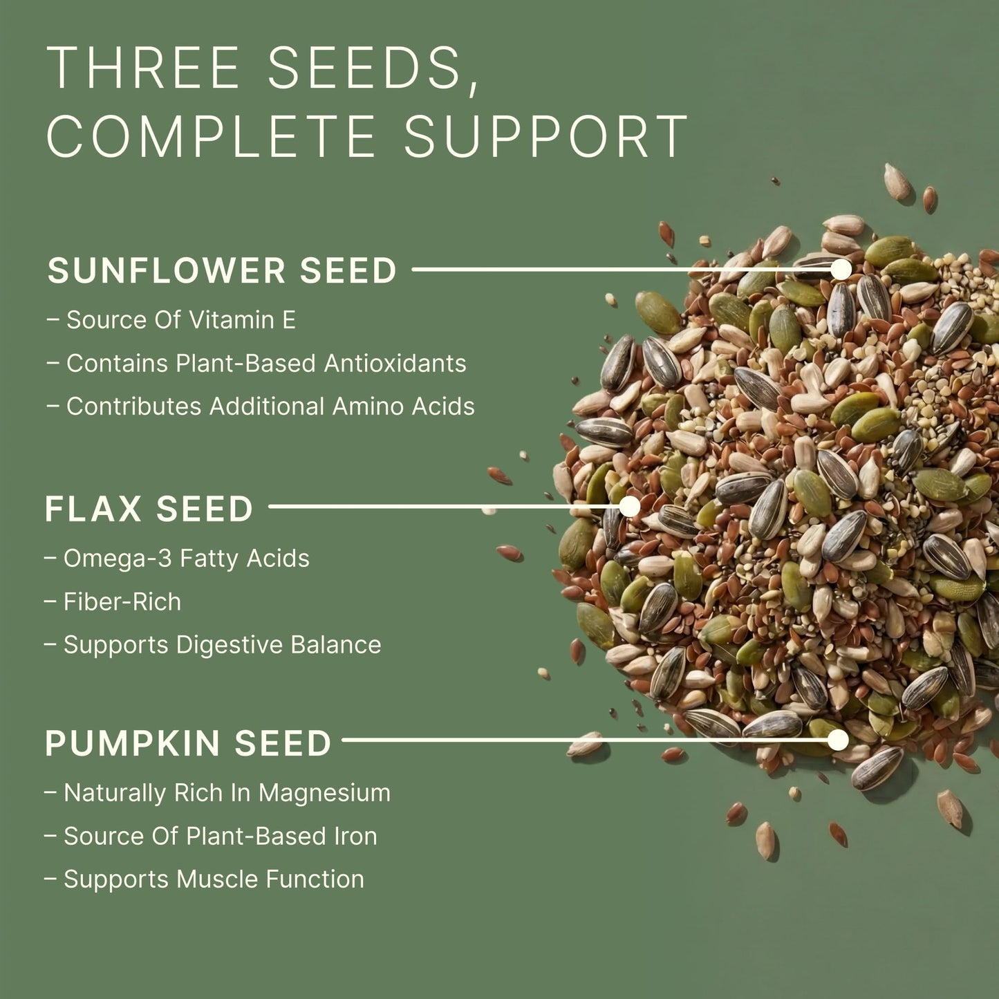 Dr. Murray's Super Foods 3 Seed Protein Powder - Pumpkin Flax Sunflower | Vegan Plant Protein | No Artificial Additives | GMP Certified | Unflavored, 1 lb.