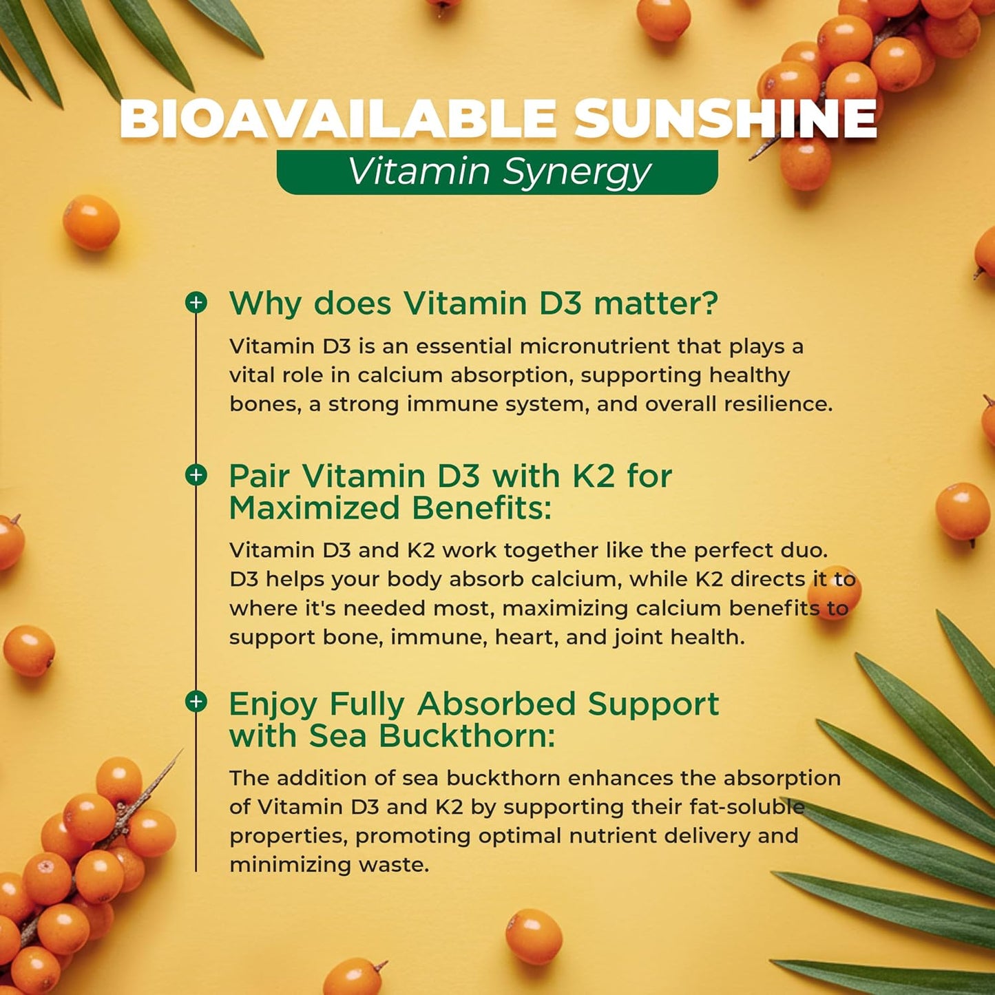 MoxyVites Quercetin with Bromelain + Vitamin D3 K2 & Omega-7 – Enhanced Absorption Immune Support – Bone & Heart Wellness Bundle
