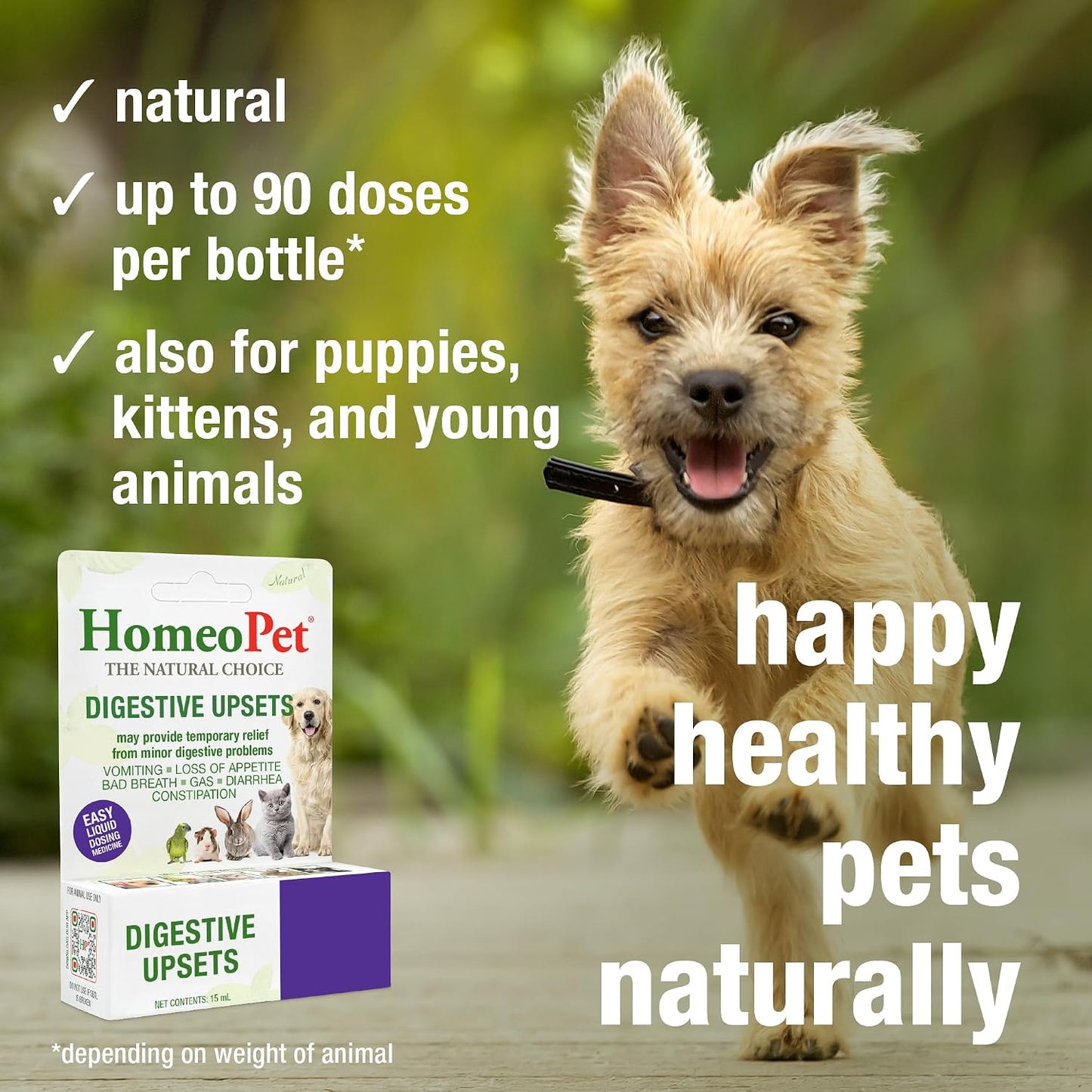 HomeoPet Digestive Upsets, Supplement for Dogs and Cats, 15 Milliliters | Natural digestive support for cats, dogs, and other pets, safe homeopathic formula, liquid drops suitable for daily use