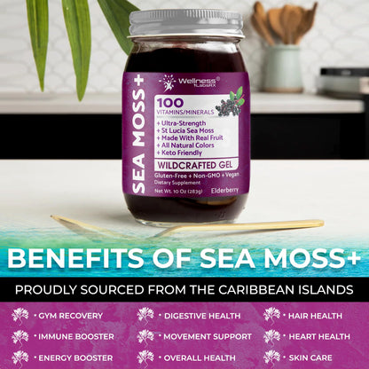 WELLNESS LABSRX Irish Sea Moss Gel Raw - Wildcrafted Superfood Seamoss Gel - Pineapple Mango Flavor, Vitamin and Mineral-Rich from Pristine Caribbean Waters - 10 oz.