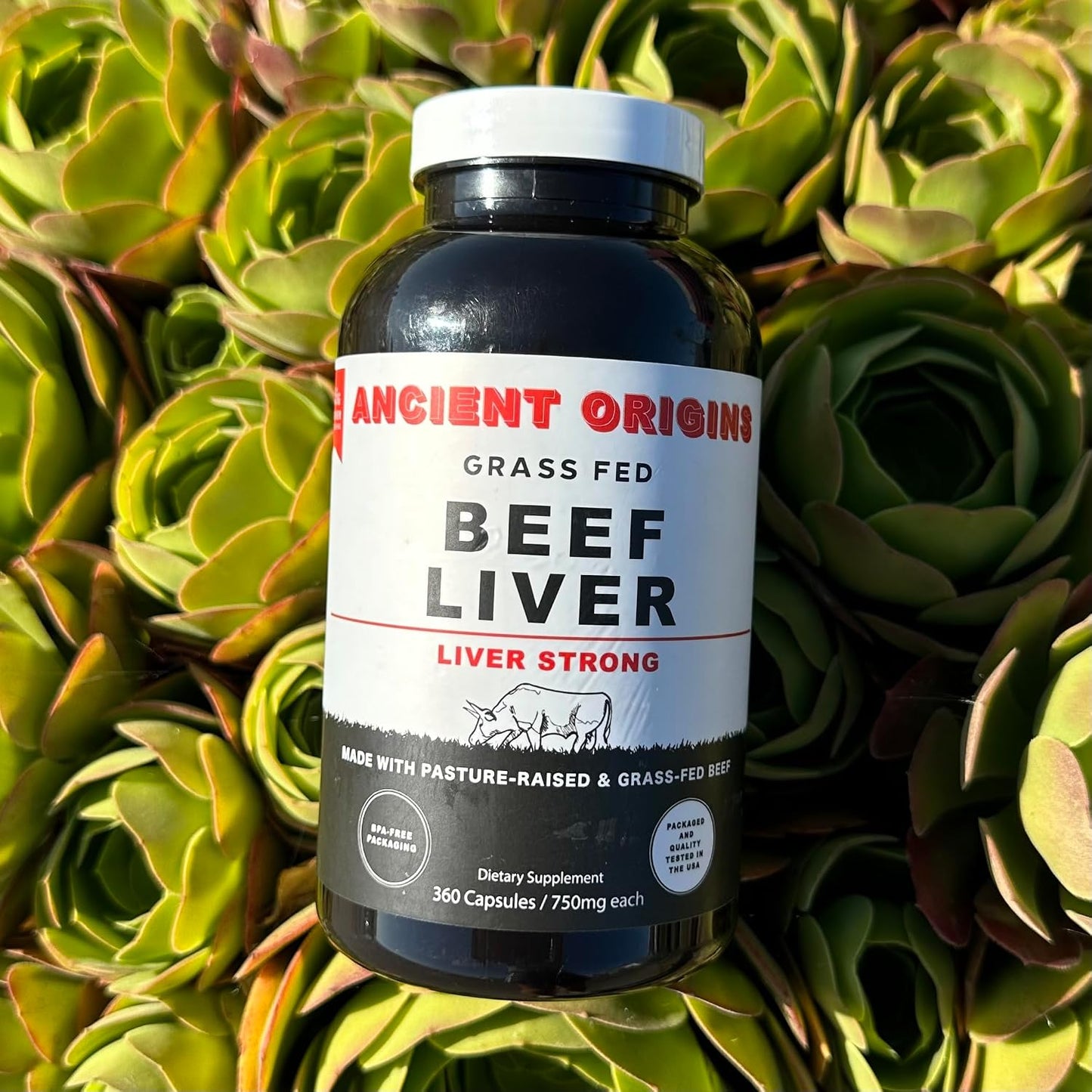 Ancient Origins Grass Fed Beef Liver 360 Capsules, 750 mg Each and Bone Marrow 180 Capsules 510 mg Each