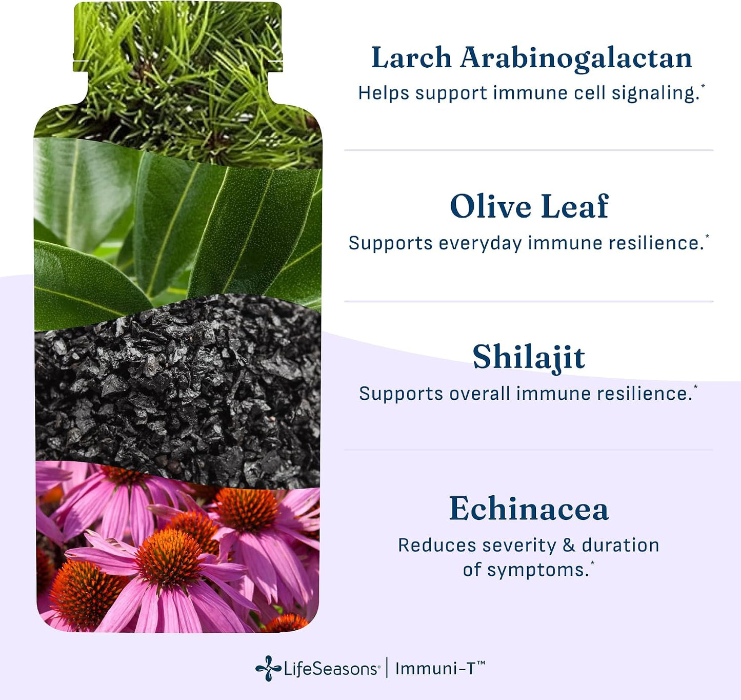 LifeSeasons Immuni-T - Immune Support Supplement - Immunity System Booster - Natural Cold & Flu Relief - Elderberry, Echinacea, Andrographis, Arabinogalactans & Olive Leaf - 90 Capsules