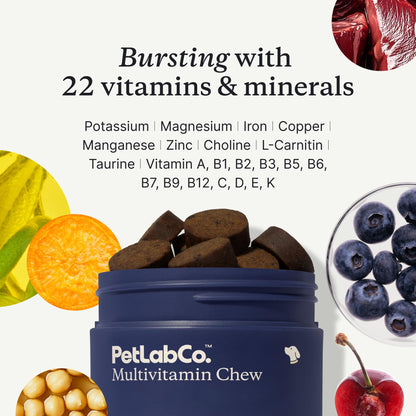 PetLab Co. 22-in-1 Multivitamin Chews for Dogs, Pork Flavor | 22 vitamins and minerals in one daily soft chew to support immune health, energy, skin, coat and overall wellbeing