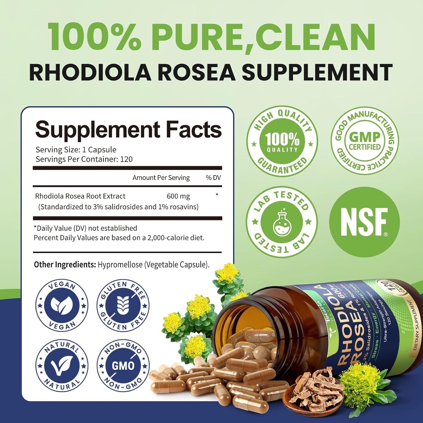 Totaria Rhodiola Rosea Supplement 600mg, 4 Month Supply, 3% Salidrosides 1% Rosavins, Vegan Golden Root Adaptogen Capsules, Rhodiola Rosea Extract Powder, for Stress, Mental Focus, Energy, 120 Counts