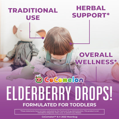 MARYRUTH'S Elderberry Liquid Drops for Adults & Kids | Immune Support | Antioxidant | 150mg Elderberry Extract | USDA Organic | CLP Purity Award | Sugar Free | Vegan | Non-GMO | Gluten Free | 1 oz
