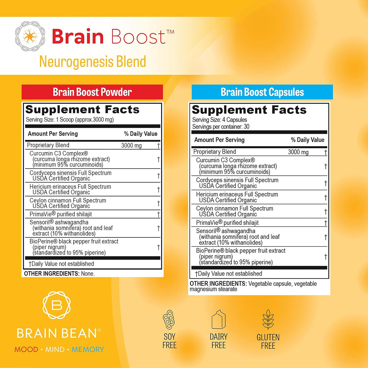 Brain Boost Capsules | with Curcumin, Cordyceps, Hericium, Ceylon Cinnamon, Purified Shilajit, and Ashwagandha | 30 Servings