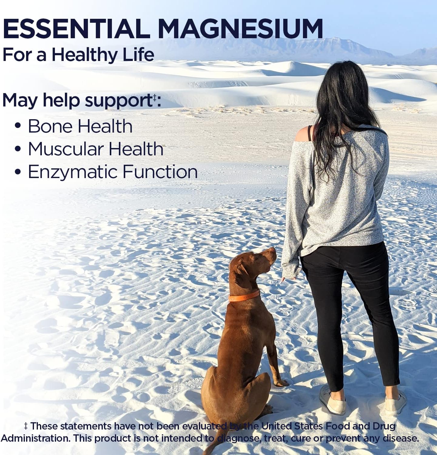 KAL Magnesium Glycinate Tablets, Fully Chelated, High Absorption Formula with Magnesium Bisglycinate Chelate for Nerve, Muscle & Bone Health Support, Vegan, Gluten Free, Value Size, 240 Tablets