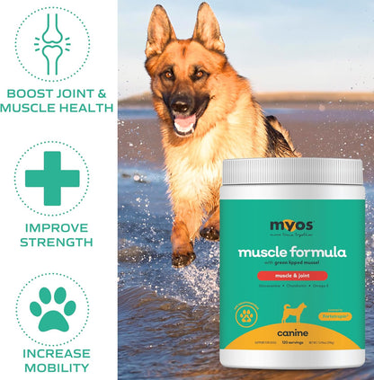MYOS Canine Muscle & Joint Support Bundle – Fortetropin Powder with Green Lipped Mussel (396g) + Bacon-Flavored Mobility Chews with Collagen & Glucosamine (60 Count)