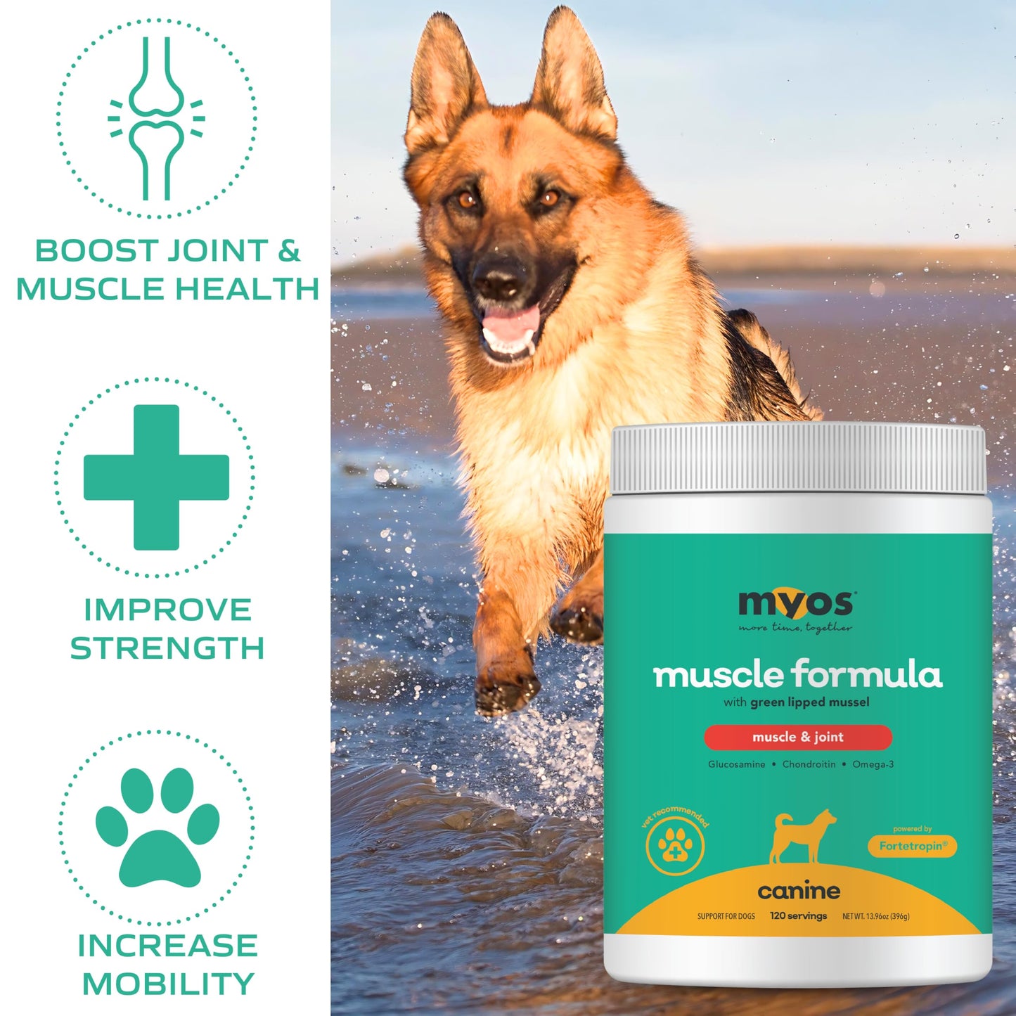 MYOS Muscle & Joint Dog Supplement with Fortetropin and Green Lipped Mussel - Dog Hip and Joint Supplement for Strength and Mobility - Glucosamine and Omega 3 for Dogs - 198g