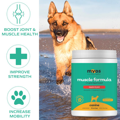 MYOS Muscle & Joint Dog Supplement with Fortetropin and Green Lipped Mussel - Dog Hip and Joint Supplement for Strength and Mobility - Glucosamine and Omega 3 for Dogs - 198g